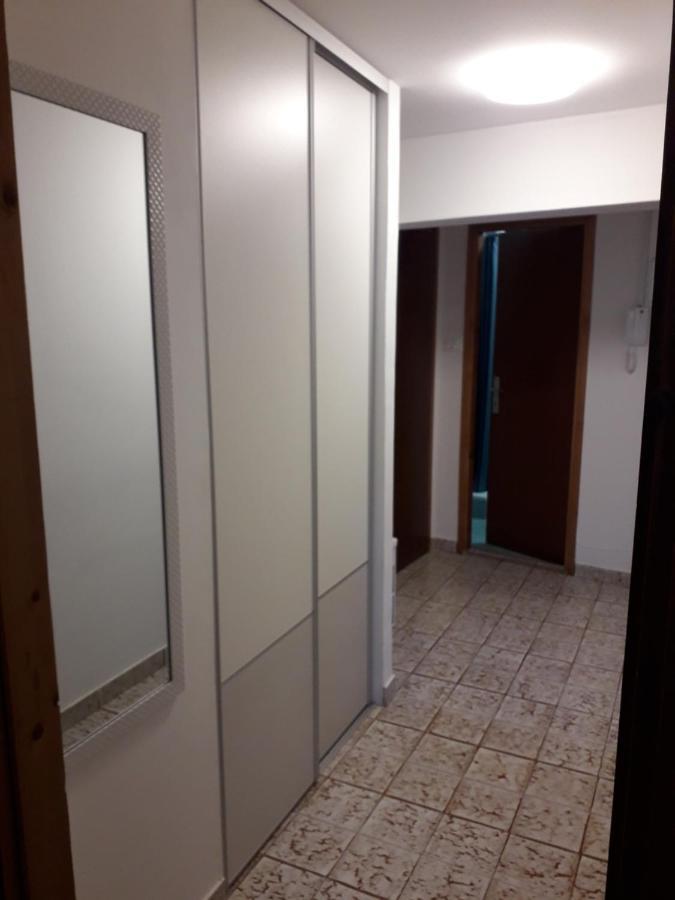 Apartments Pepe Novigrad Istria Buitenkant foto