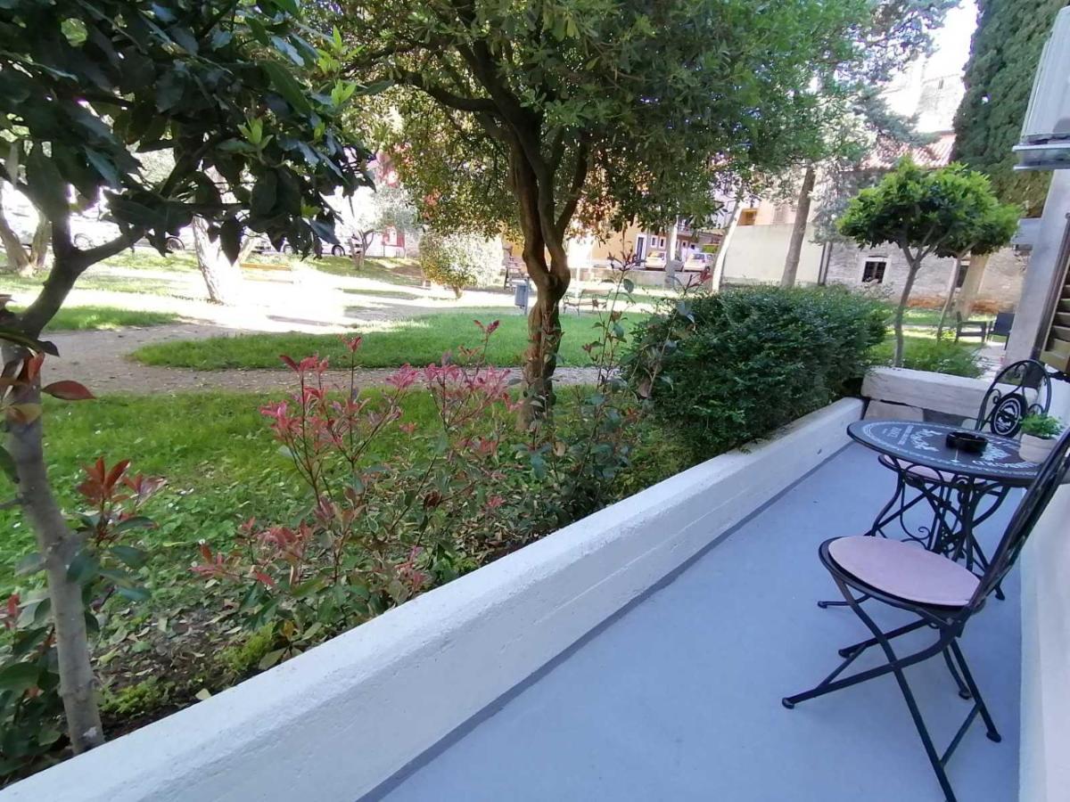Apartments Pepe Novigrad Istria Buitenkant foto