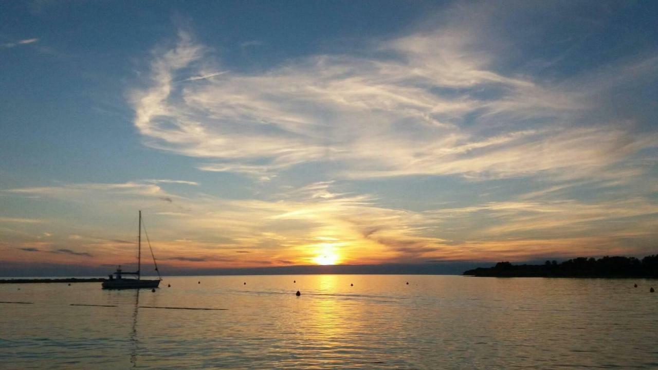 Apartments Pepe Novigrad Istria Buitenkant foto
